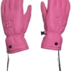 Goldbergh Freeze Gloves Women's